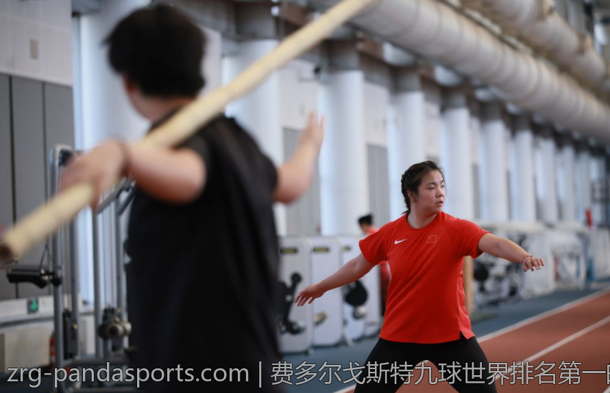 费多尔戈斯特九球世界排名第一的背后故事